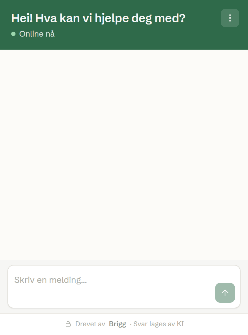 The chat as a visitor sees it