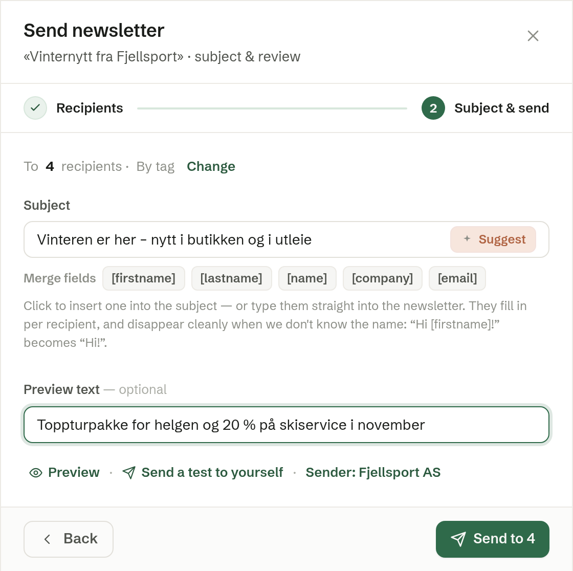 Step 2: subject, preview text and send